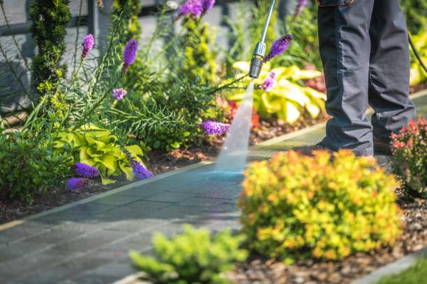 Best Parking Lot and Garage Cleaning  in Lemoore, CA