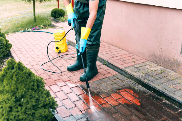Animal Enclosure Cleaning in Lemoore, CA
