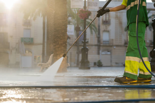Best Dumpster Area Cleaning  in Lemoore, CA